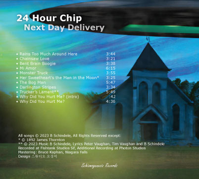 24 Hour Chip Back Cover